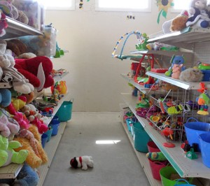 Edson Recycle Depot new take it or leave it building offers a much larger area to house more items and have more things on display. Pictured is the toy area.